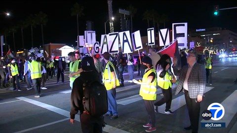 Protesters calling for Gaza ceasefire block streets near LAX | Haystack