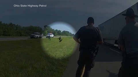 Police K 9 Attacks Unarmed Man Haystack News