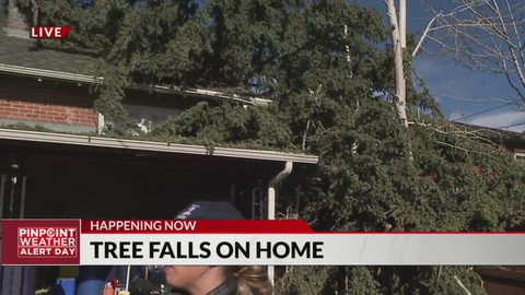 Tree Falls On Lakewood Home Haystack News