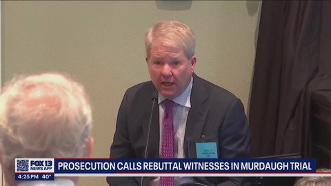 Last witnesses testify in Alex Murdaugh double murder trial before jury